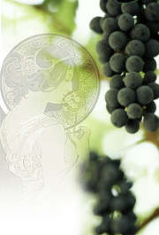 Arkansas wines