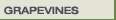 Grapevines for Sale